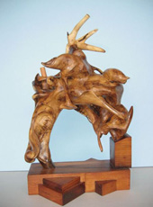 Risveglio